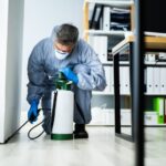 辦公室滅蟲新法寶：擊退蝨子的小秘密