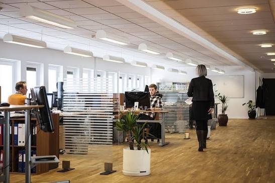 HRIS系統全攻略：香港企業數碼化人力資源管理的必讀指南